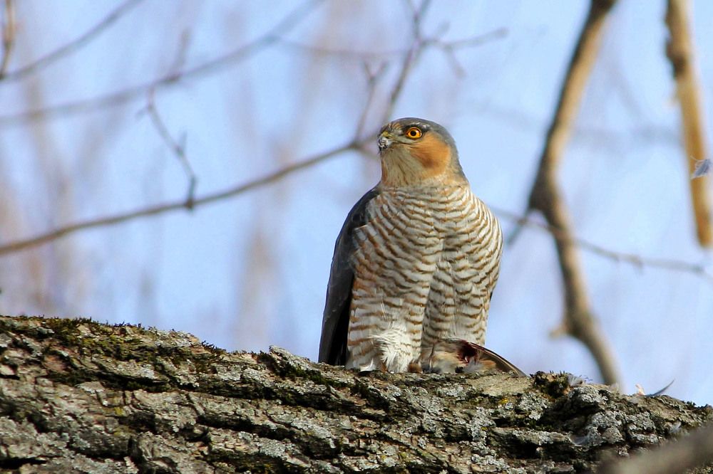 Photograph by Наталия Васильева