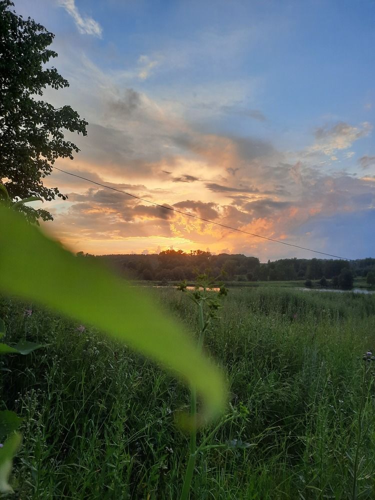 Photograph by Ольга