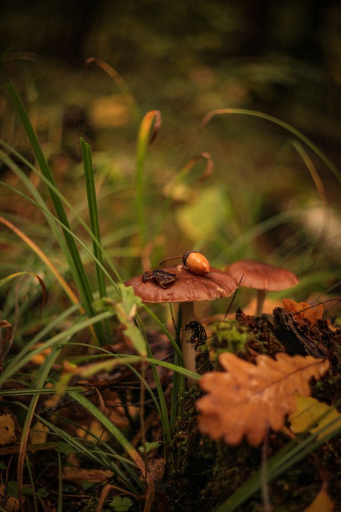 Photograph by Ольга Резникова