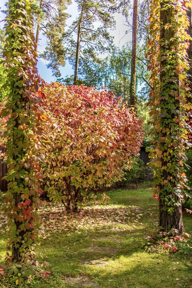 Photograph by Lyudmila Klimanova