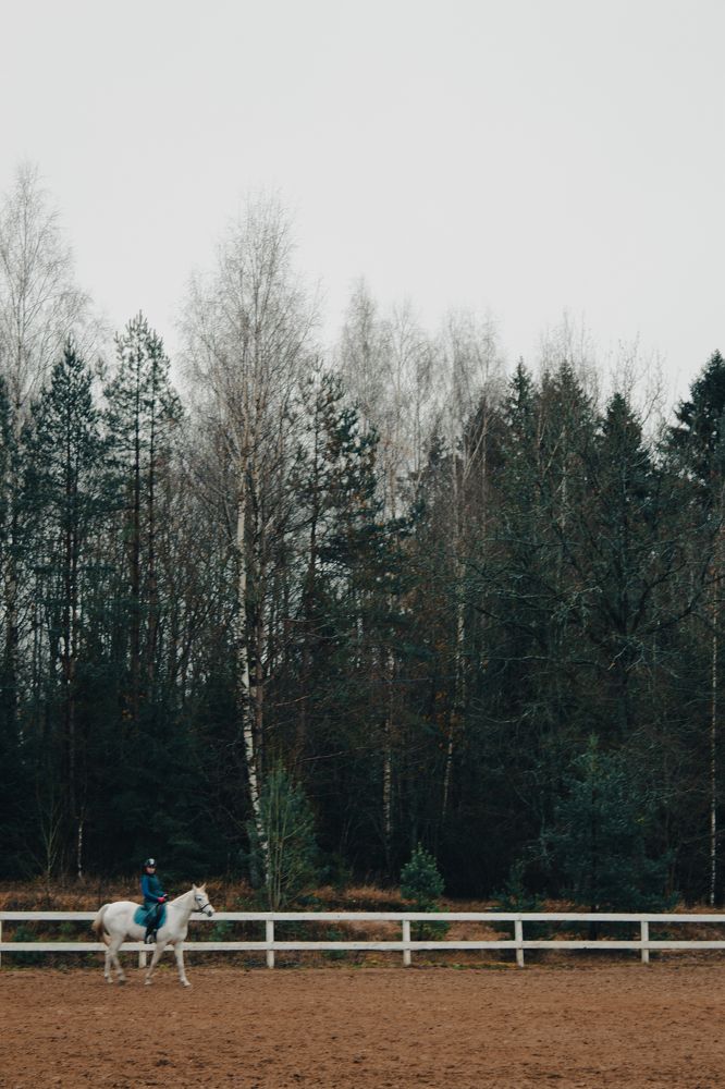 Photograph by Светлана Сивкова