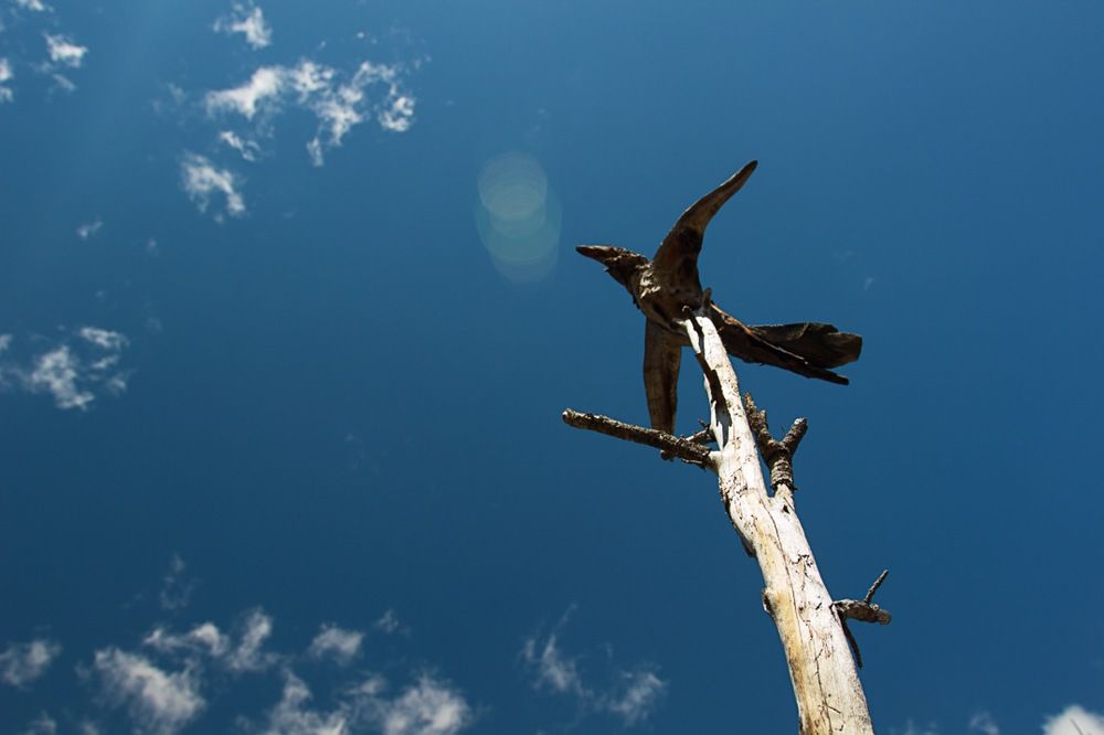 Photograph by Екатерина Першина