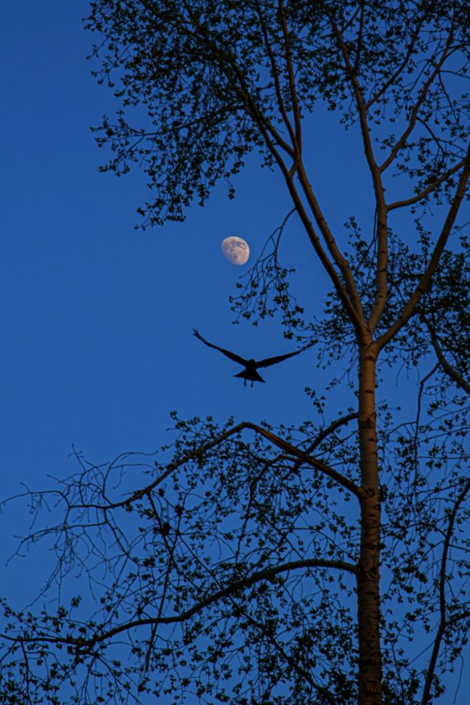 Photograph by Екатерина Першина