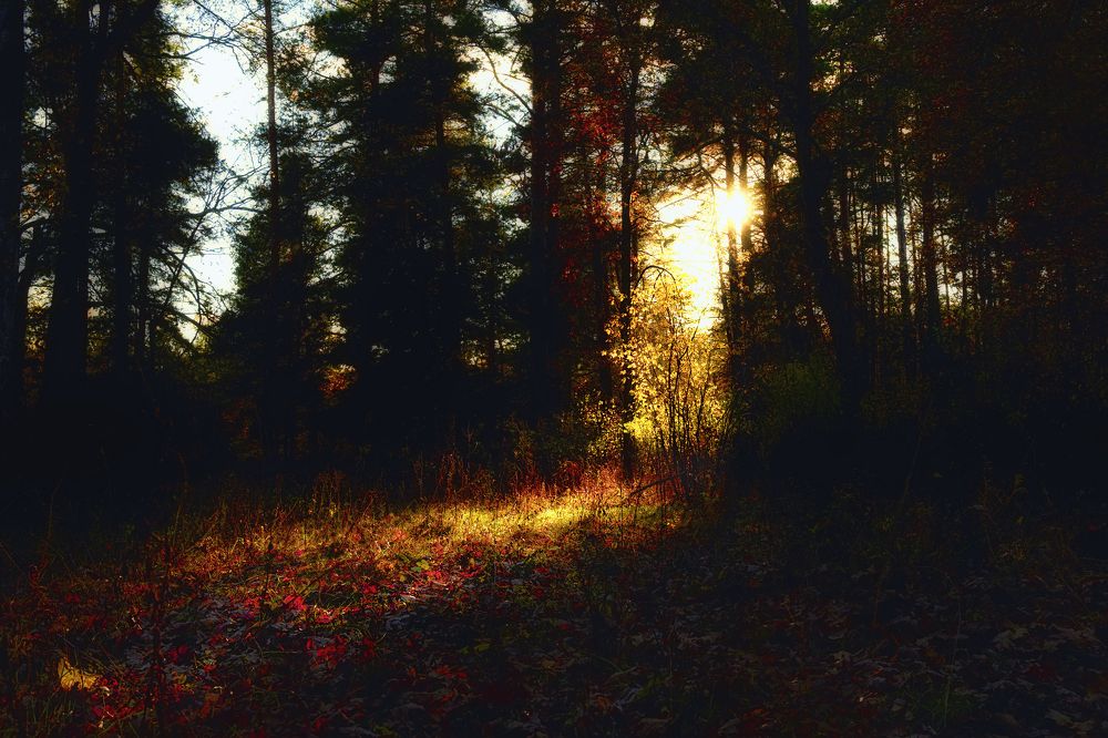 Photograph by Иван Кондырев