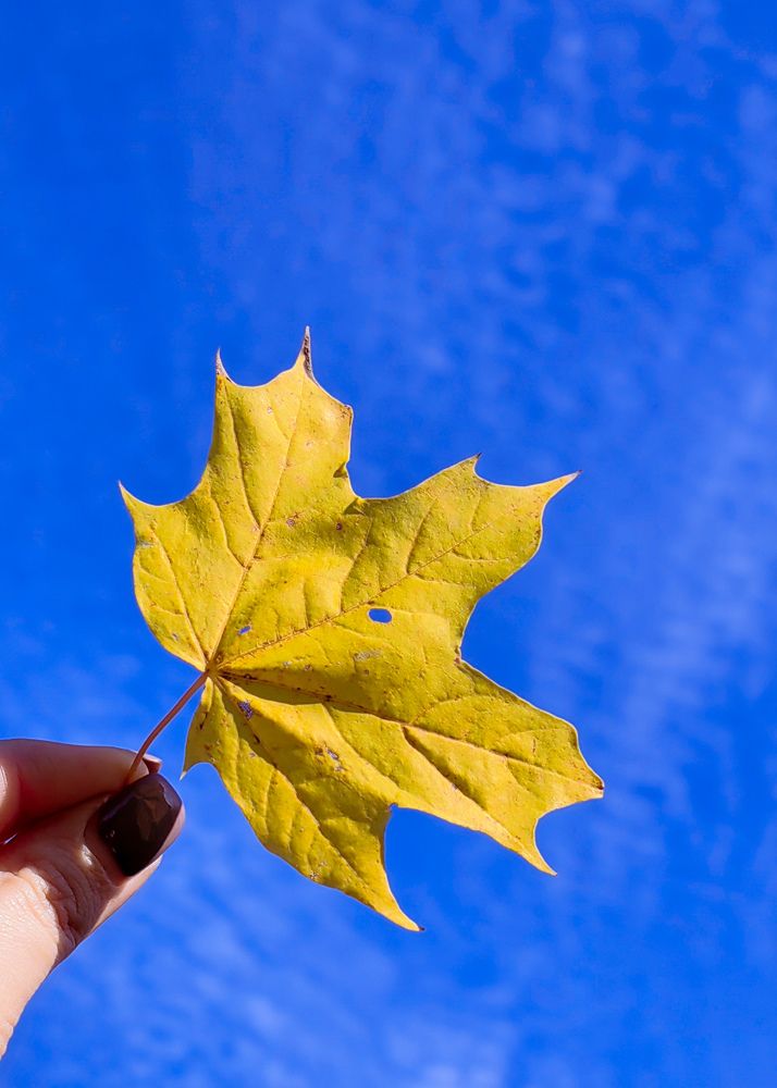Фотография автора ЕКАТЕРИНА ЗЕМЛЯКОВА