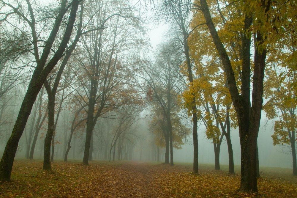 Фотография автора Екатерина Счасная