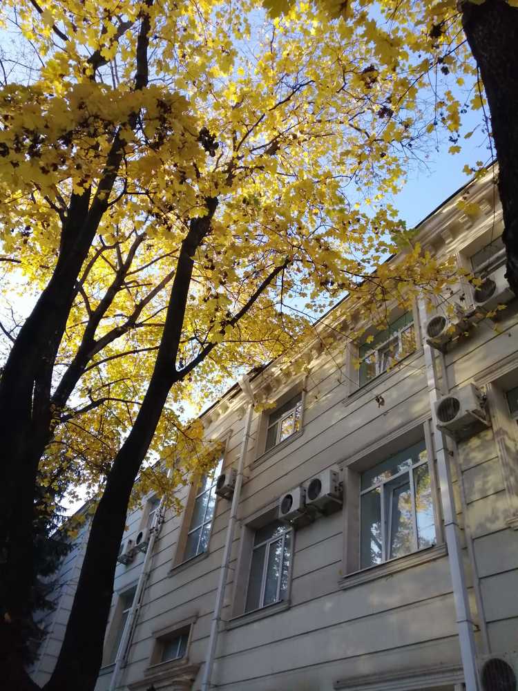 Photograph by Мила Мит