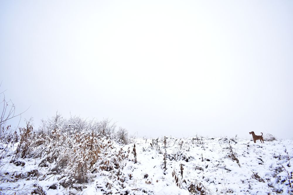 Photograph by Иван Суворов