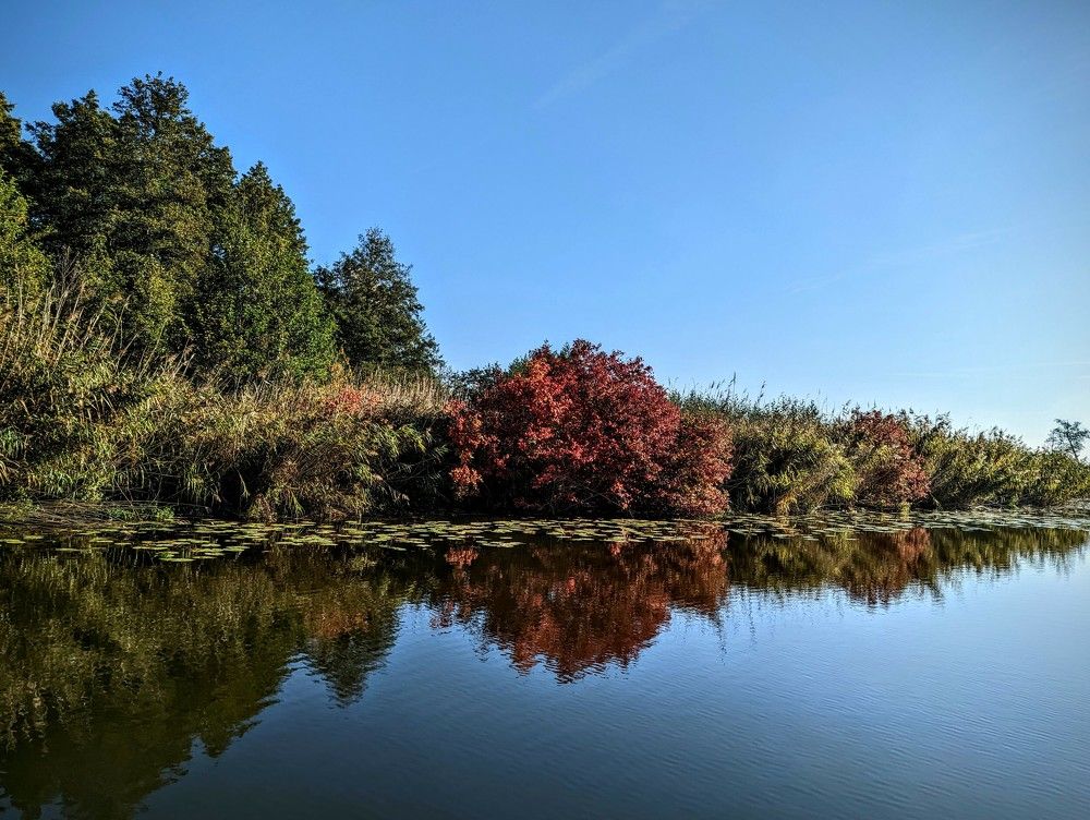 Photograph by Ольга