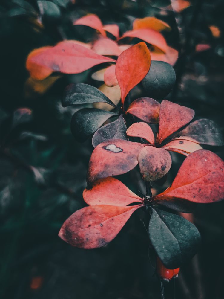 Photograph by Oxana ELTSOVA