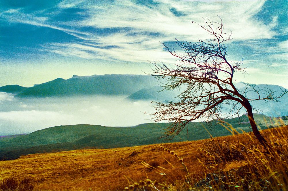 Photograph by Валерий Рябцев