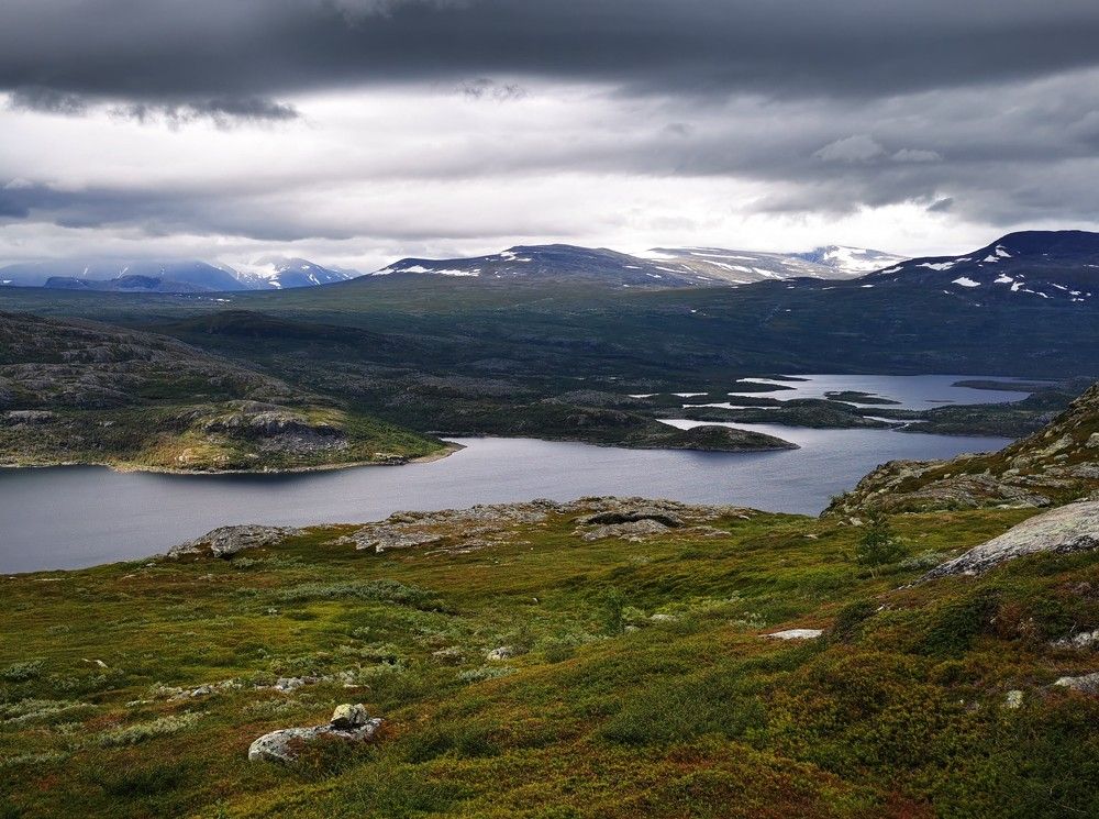 Photograph by Svetlana Jegorova