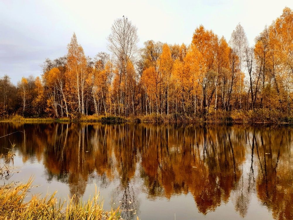 Зазеркалье