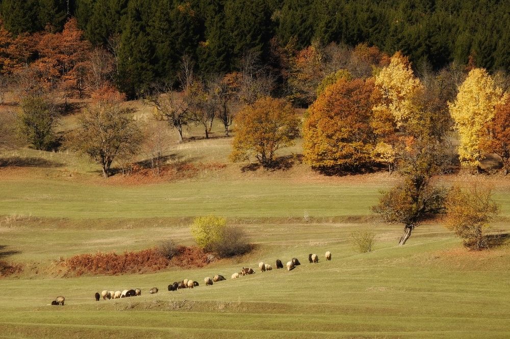 Photograph by fuat cimok