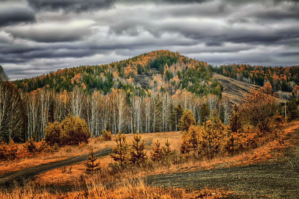 Photograph by Vitaliy Saposhnikov