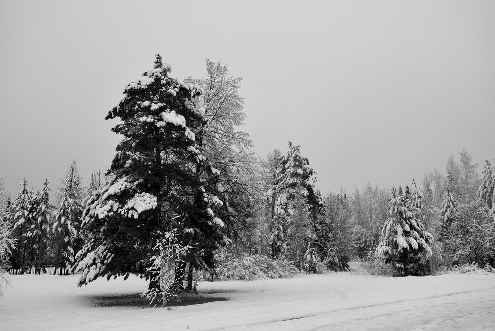 Photograph by Дмитрий Чемоданов