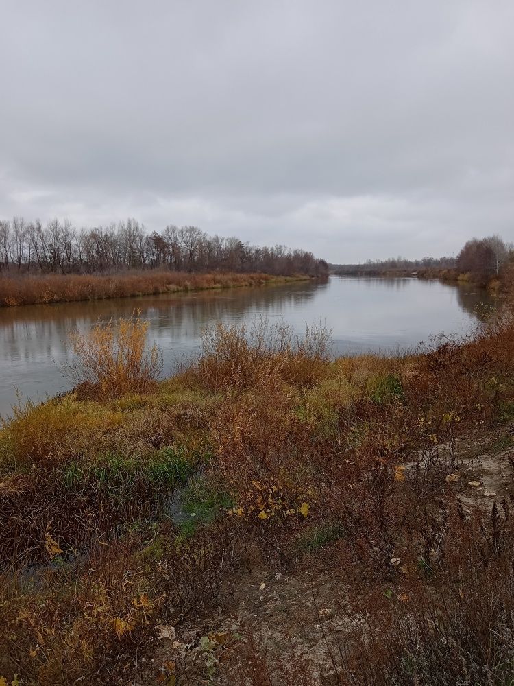 Photograph by Наталья Кириллова