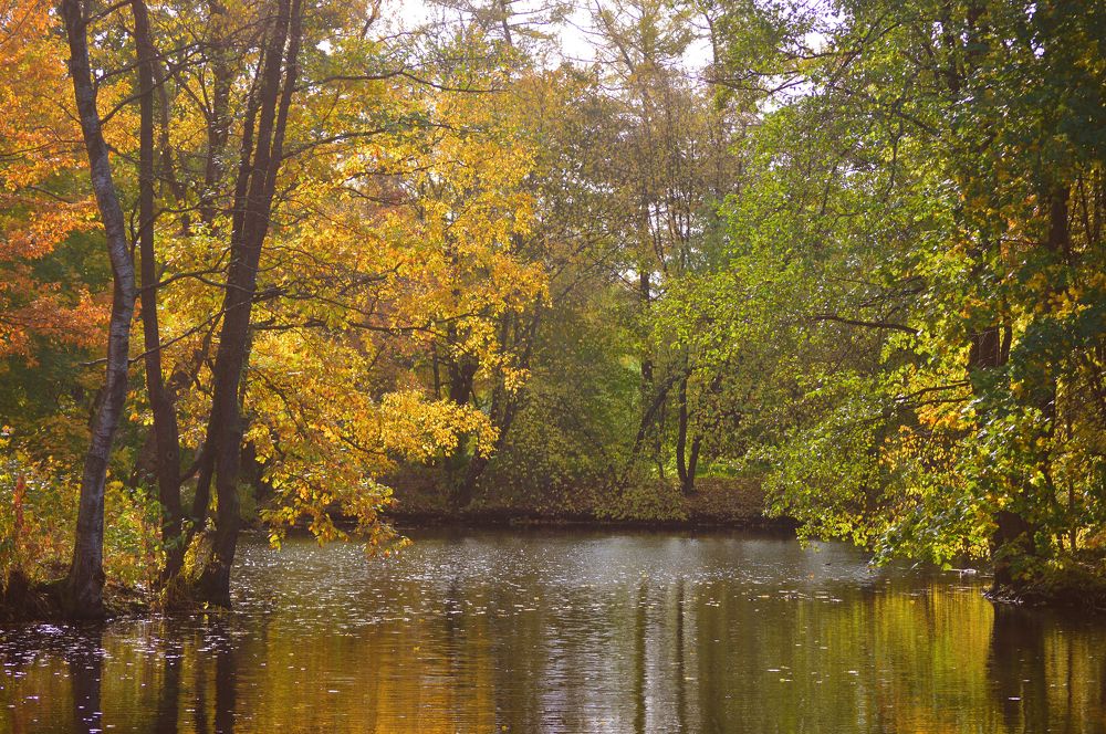 Photograph by Светлана Муравьева