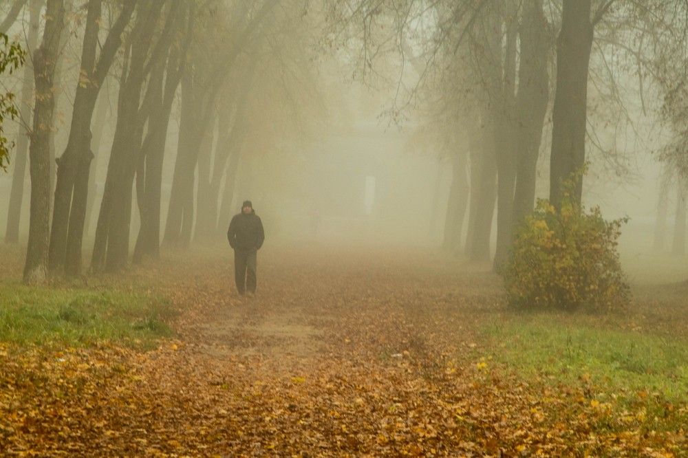 Фотография автора Екатерина Счасная