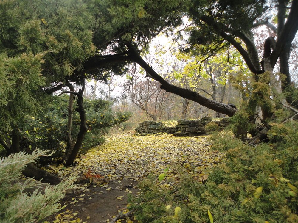 Photograph by Дмитрий Соколов