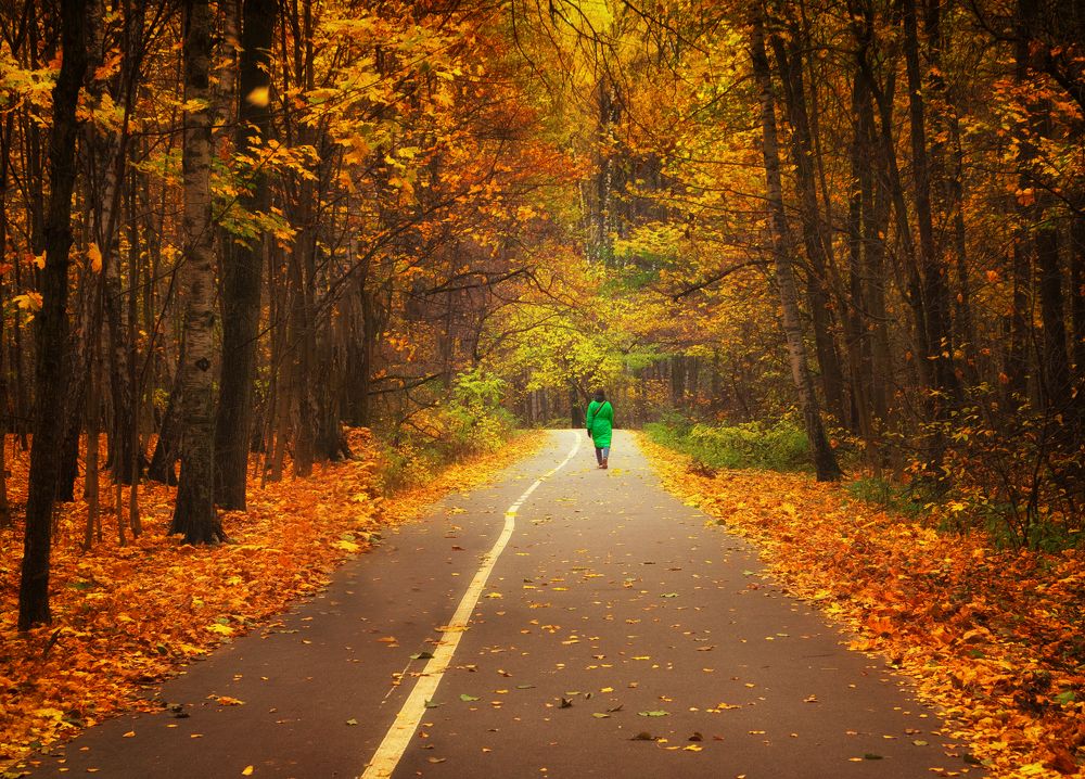 Photograph by Ольга Попова