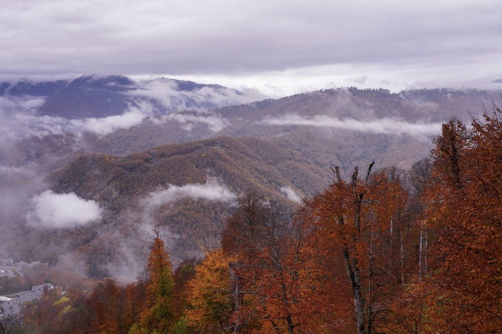 Photograph by Екатерина Коннова