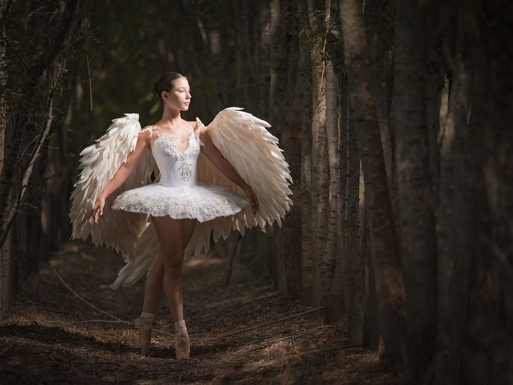 Фотография автора Георгиев Младен