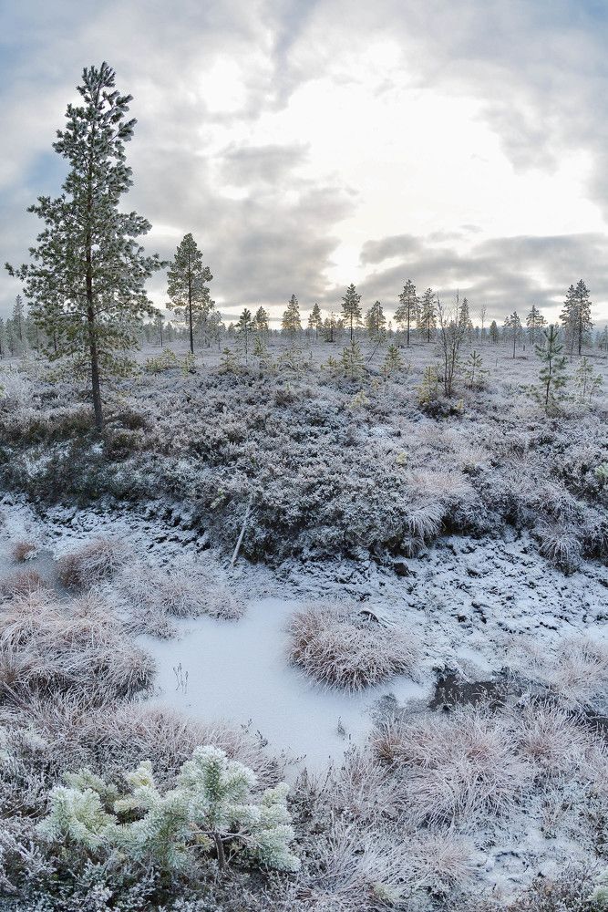 Photograph by Алексей Ильин