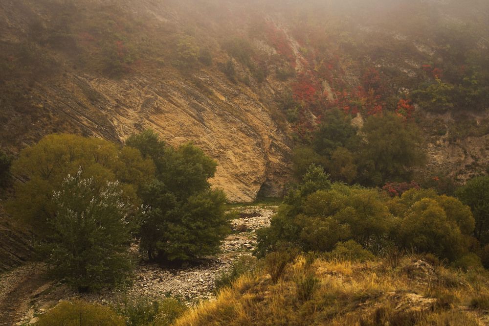 Photograph by Ольга Власкина