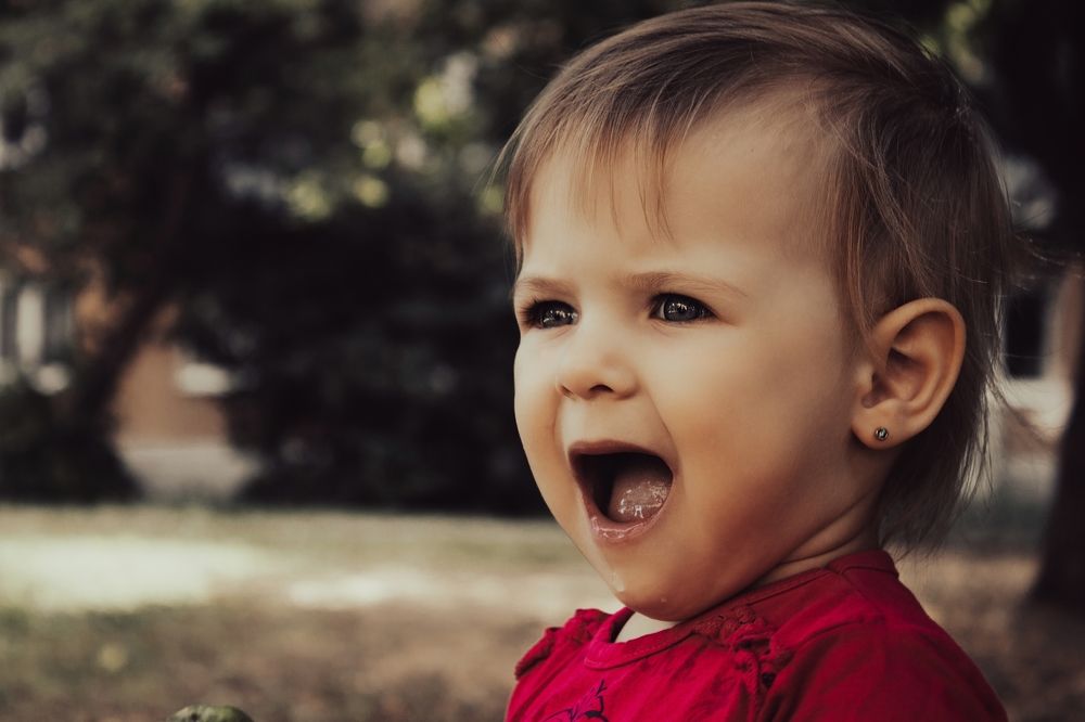 Photograph by Светлана Сивкова