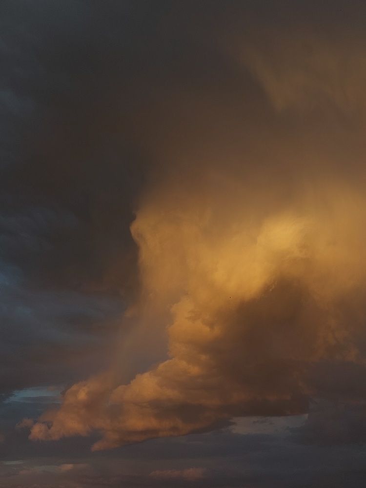 Photograph by Светлана Шиляева