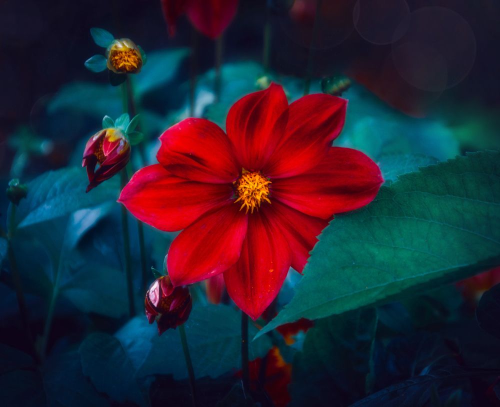 Photograph by Светлана Перминова