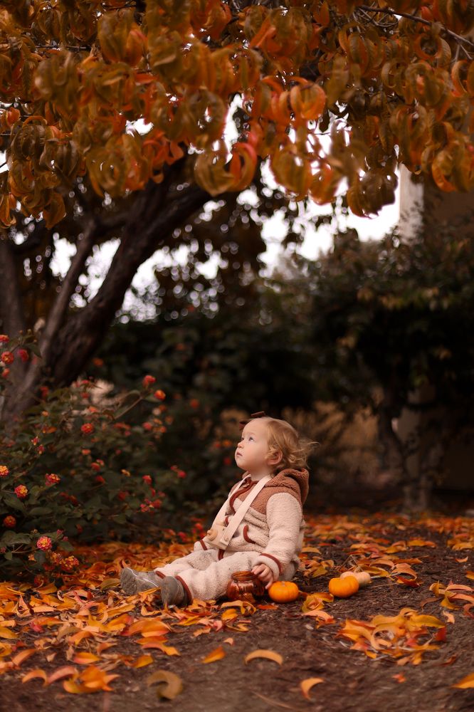 Photograph by Елена Кудрявцева