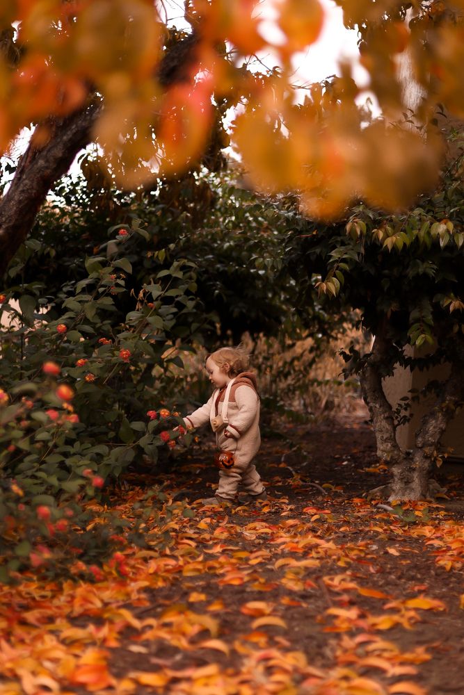 Photograph by Елена Кудрявцева