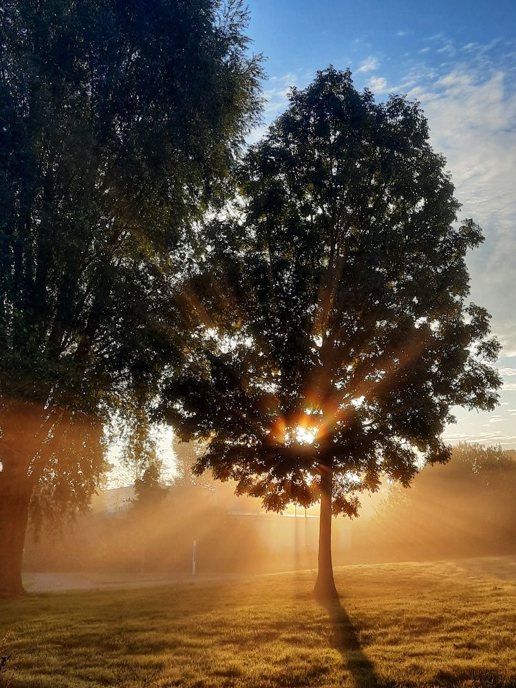 Фотография автора Анна