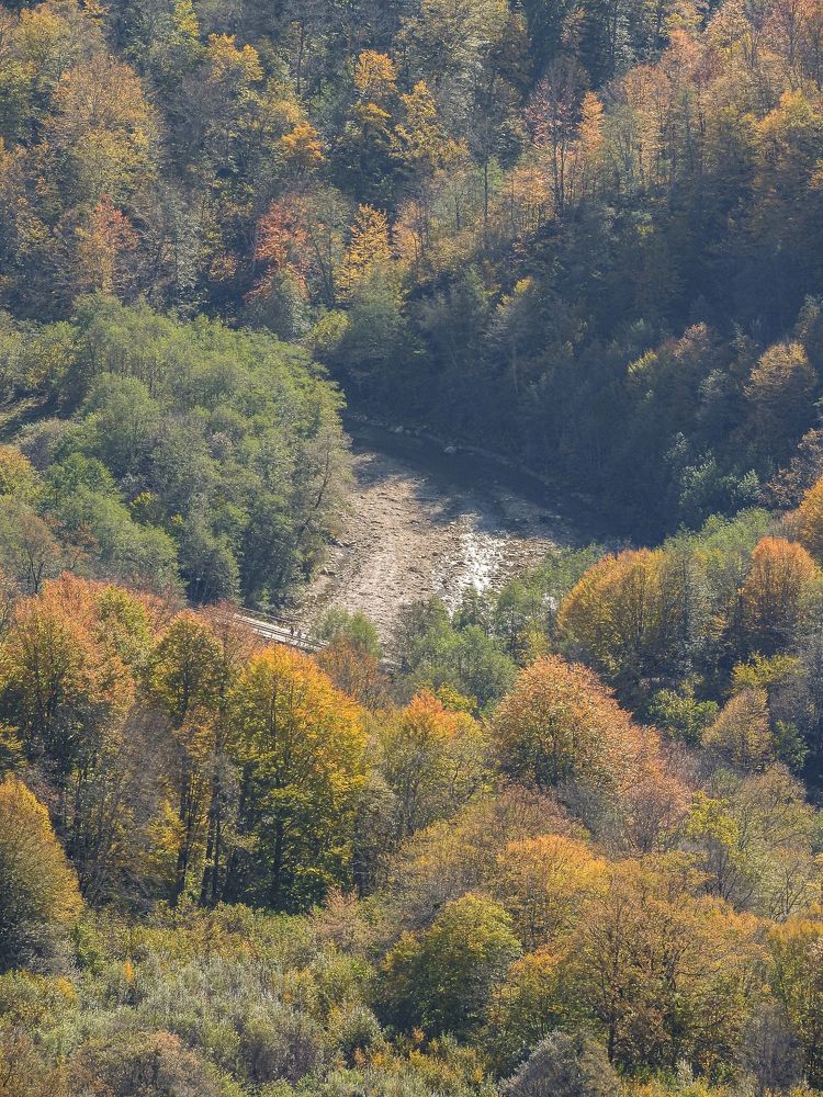 Photograph by Надежда Алешечкина