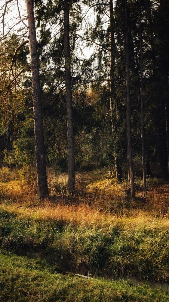 Photograph by Екатерина Федорова