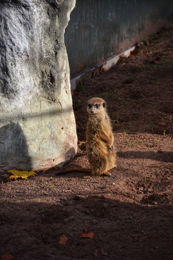Фотография автора Анна