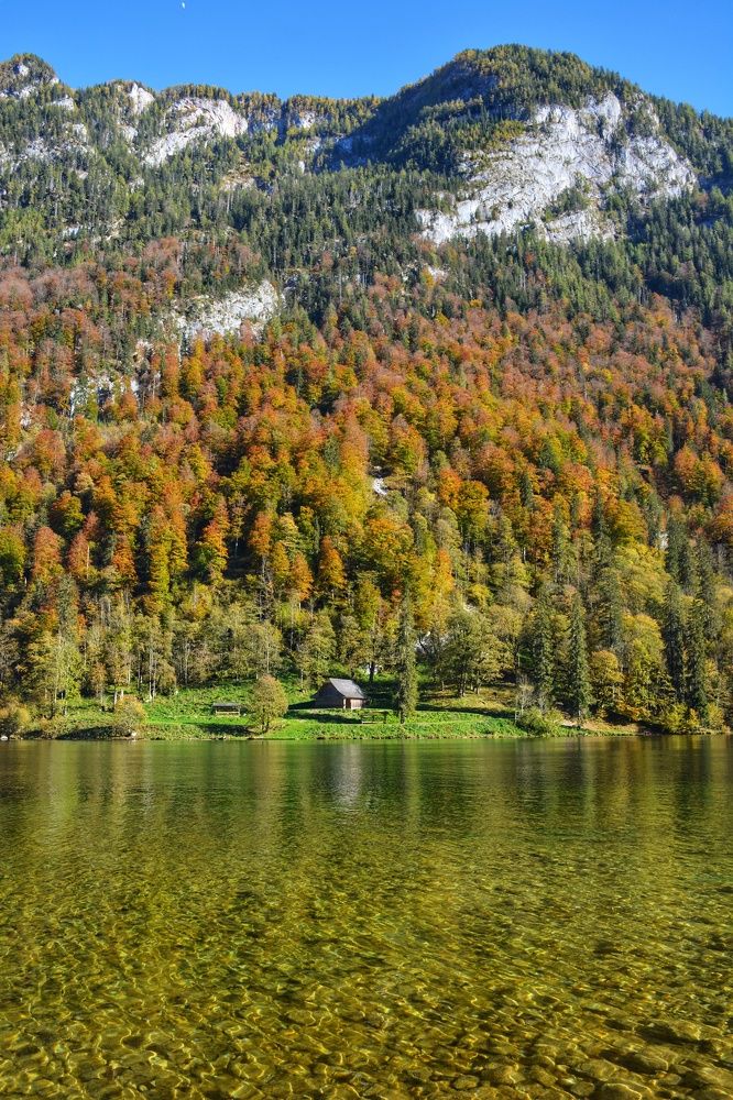 Фотография автора Анна