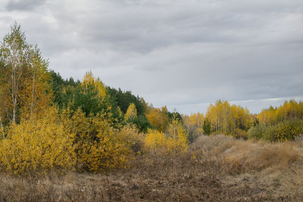 Фотография автора Светлана Бобошина