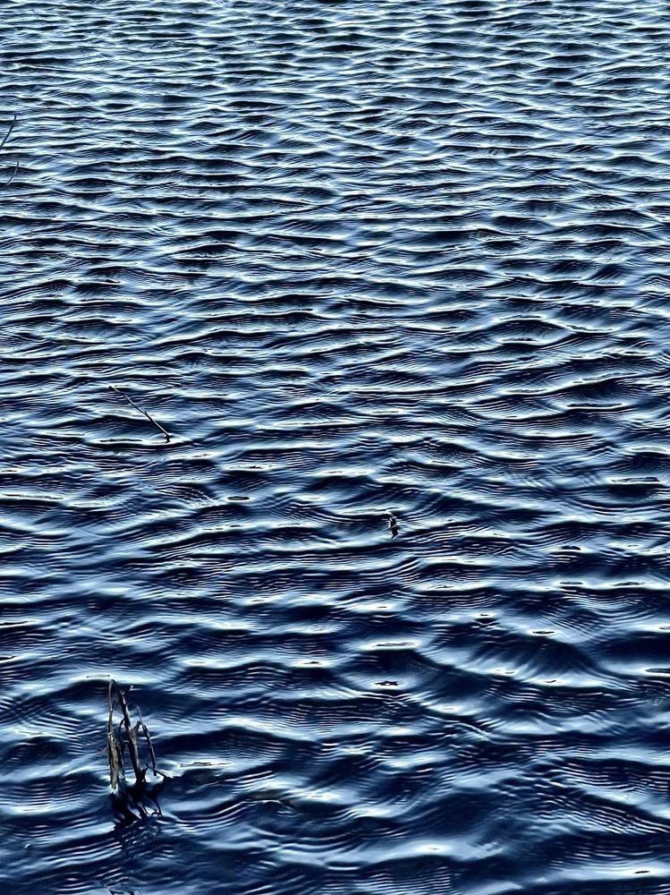 Photograph by Evgenia Barinova