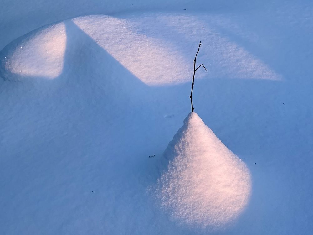 Photograph by Evgenia Barinova