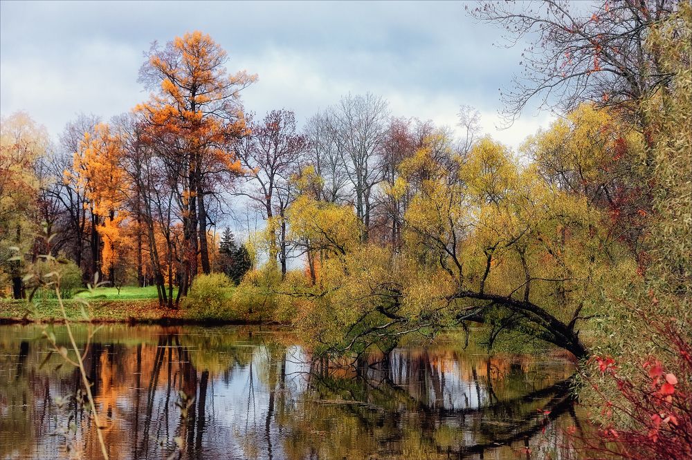 Photograph by Игорь Майоров