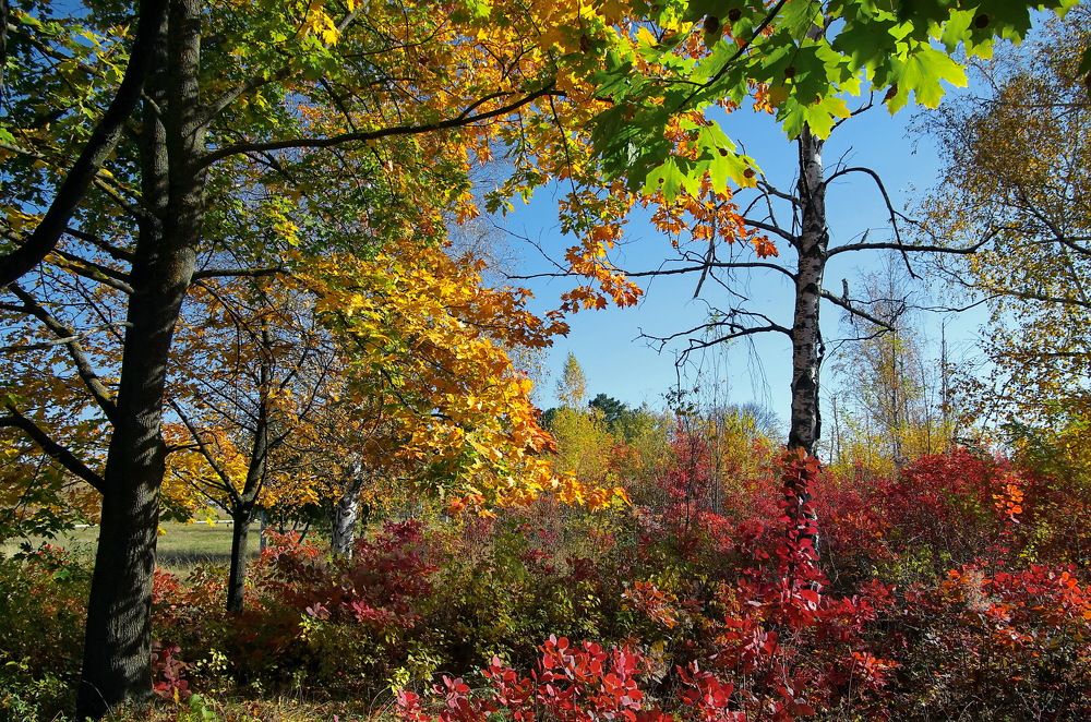 Photograph by Анатолий Святой