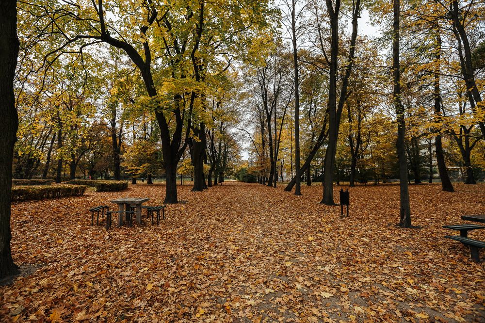 Photograph by Елена Юцова