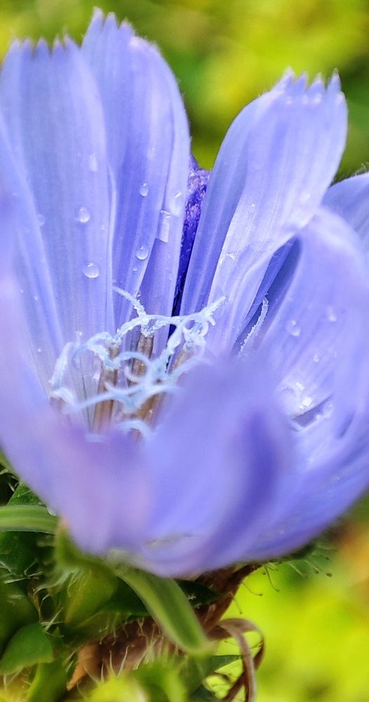 Photograph by Наталья Саенко