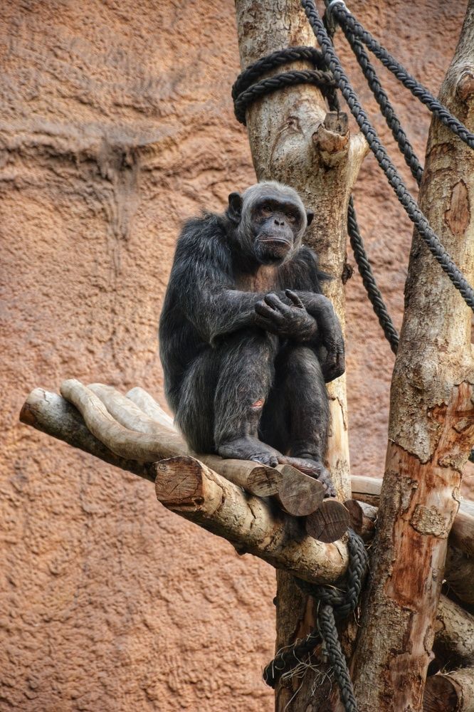 Фотография автора Анна