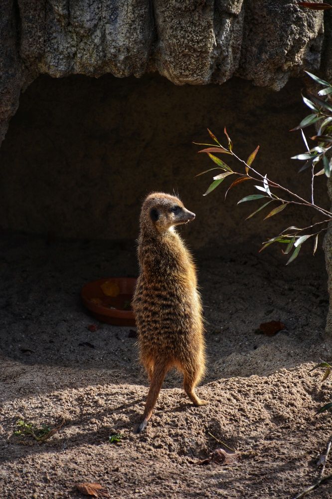 Фотография автора Анна