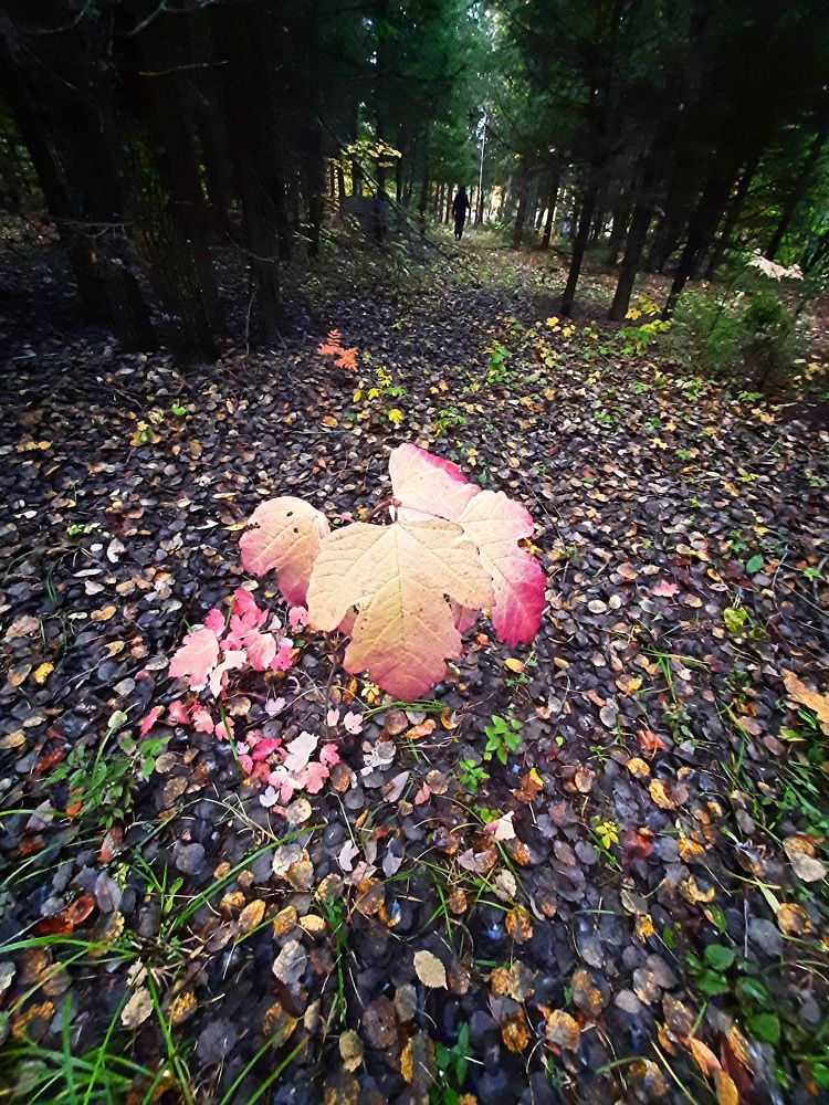 Photograph by Денис Геранькин