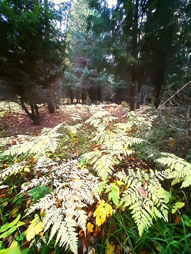 Photograph by Денис Геранькин